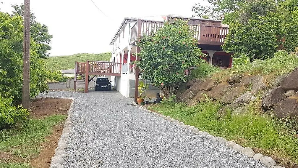 別荘 Villa Salamandreデエエ